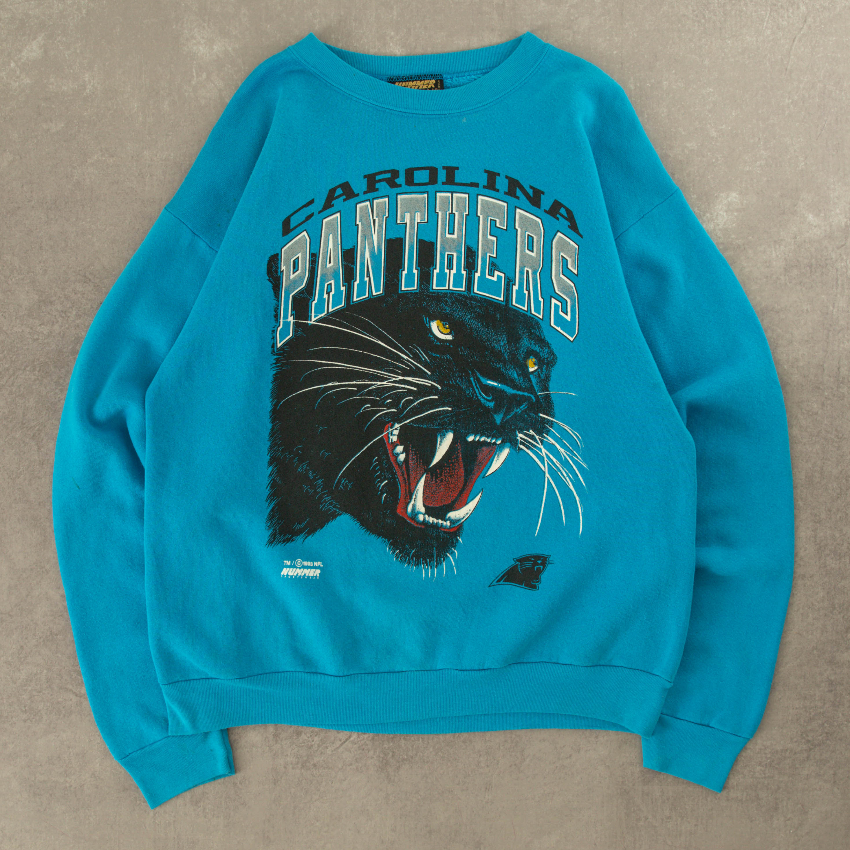 Vintage Carolina Panthers Sweatshirt 1993  Carolina panthers sweatshirt,  Sweatshirts, Carolina panthers